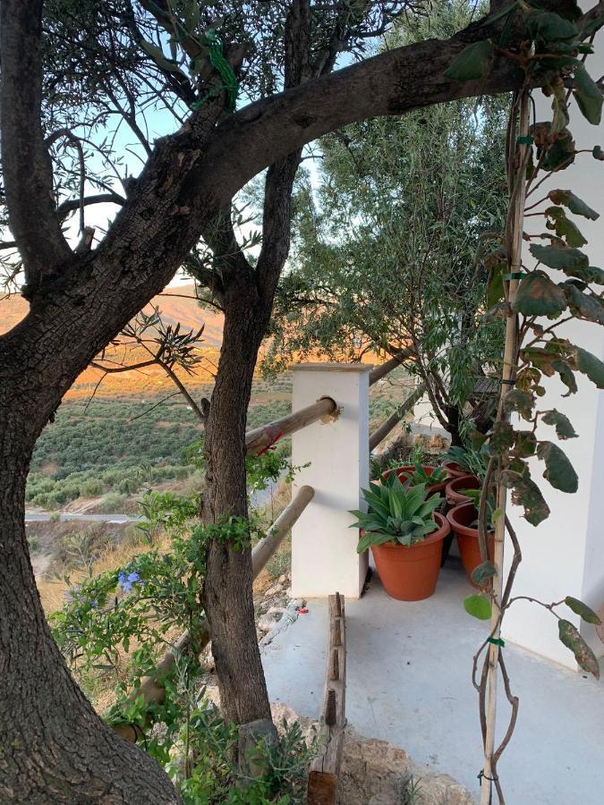 Cortijo Samadhi Guest House Lanjaron Bagian luar foto