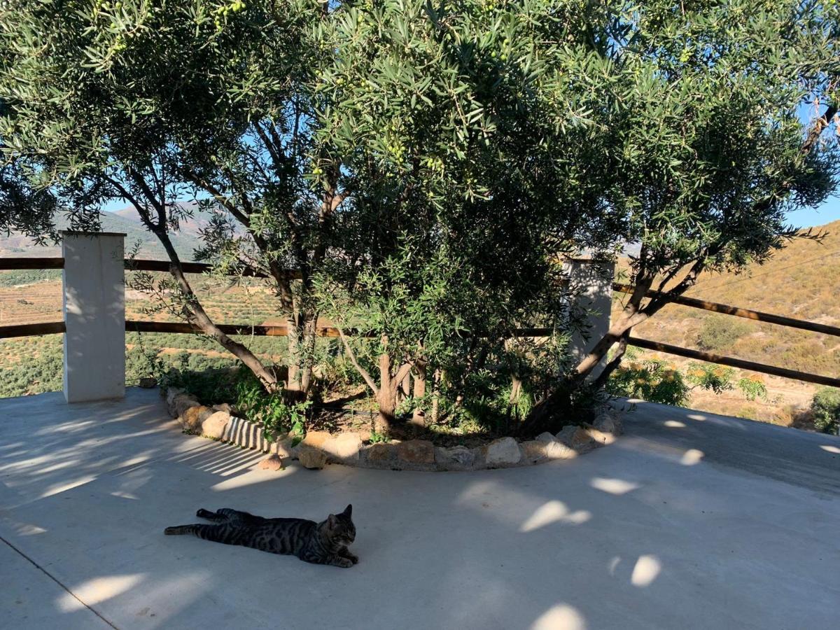 Cortijo Samadhi Guest House Lanjaron Bagian luar foto